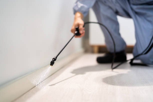 Licensed Pest Control service in Mineral Springs, NC - Show Me Pest Control