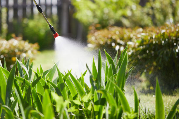 Tamper-Resistant Bait Stations for Rodents in Mineral Springs