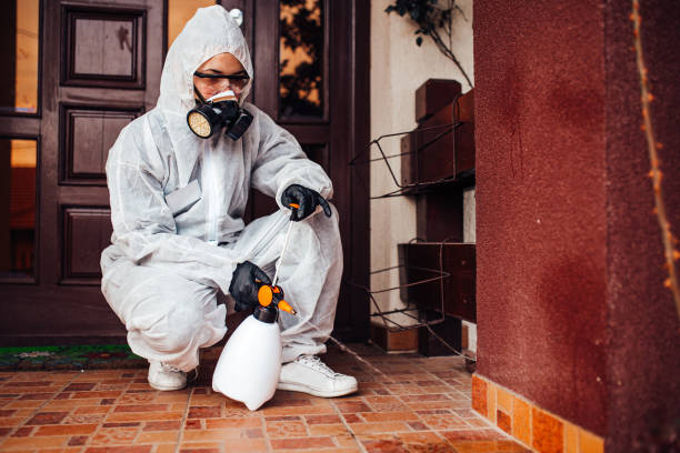 Attic and Crawl Space Rodent Treatment in Mineral Springs