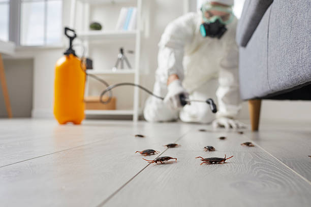 Commercial Rodent Management in Mineral Springs